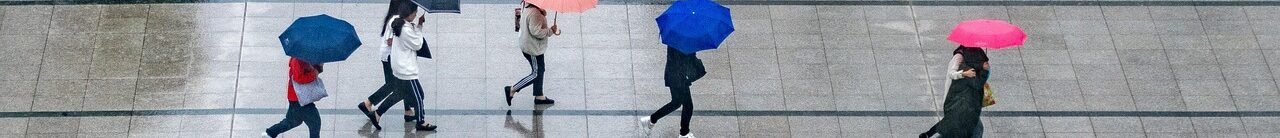 gc00247b2e0c8ee273fcfba7b0e0d8bf18a12b8e142830565af593de0b0621c9e00fb0a1104753bd2dbe41f9991f8bbcced1983ce4a2c2fa08cab868db1ac22e6 1280 7995866